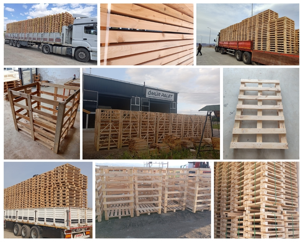 Borne Houten Kisten, Europallets Groothandel Kopen